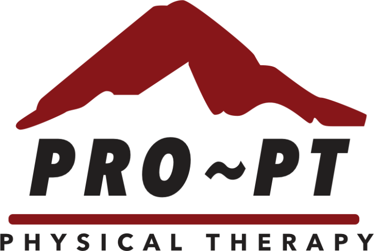 Pro-PT logo